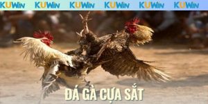 Đá Gà Cựa Sắt